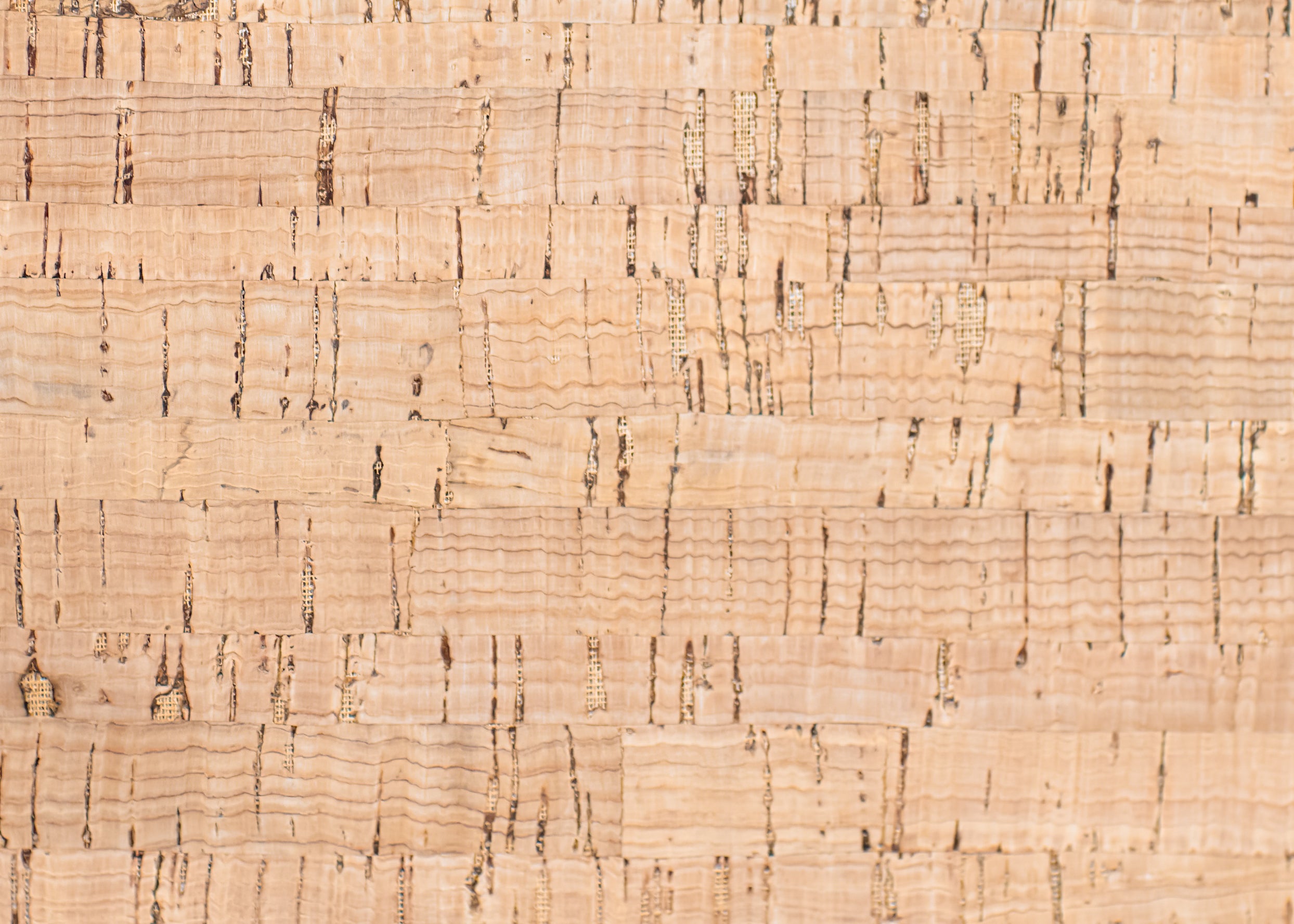 Crescent XL Cork Messenger Laptop Bag- Natural