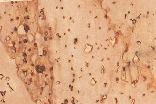 Cork Phone Wristlet Strap w/tether tab attachment--Natural